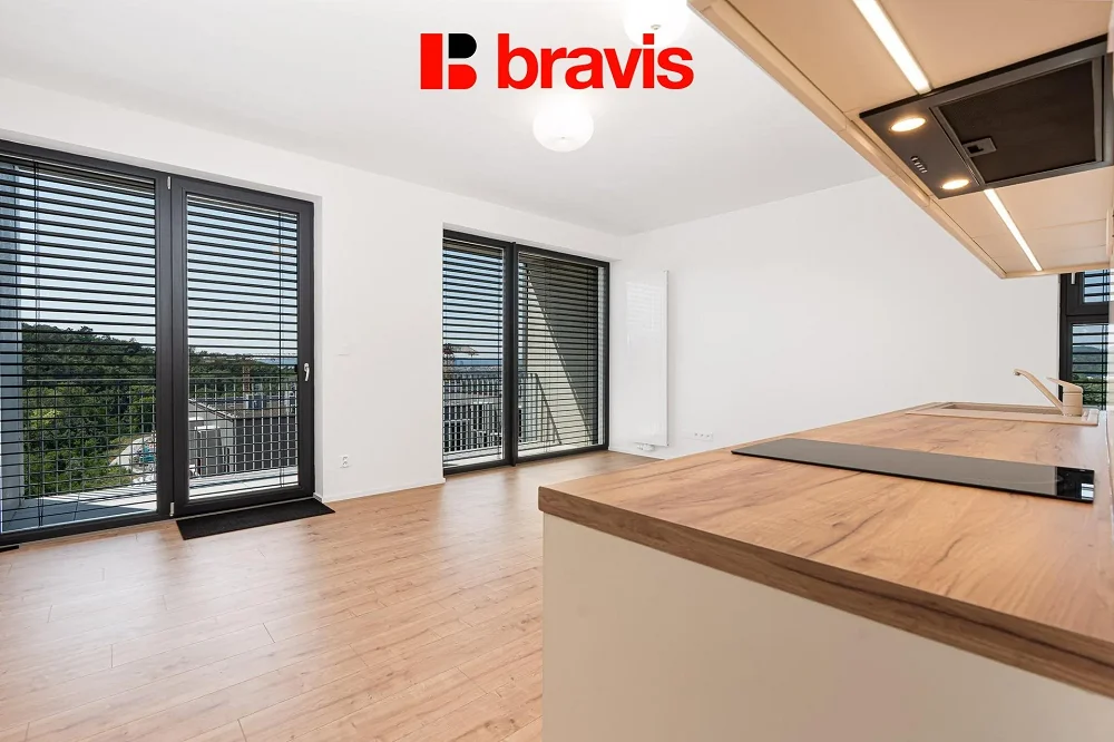 1+kk, Pod Kavkami, Brno-město, Jihomoravský kraj