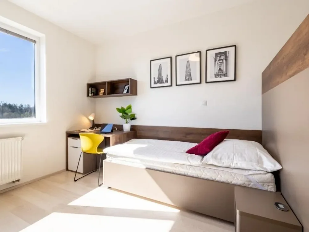 1+kk, Magisterská, Plzeň-město, Plzeňský kraj