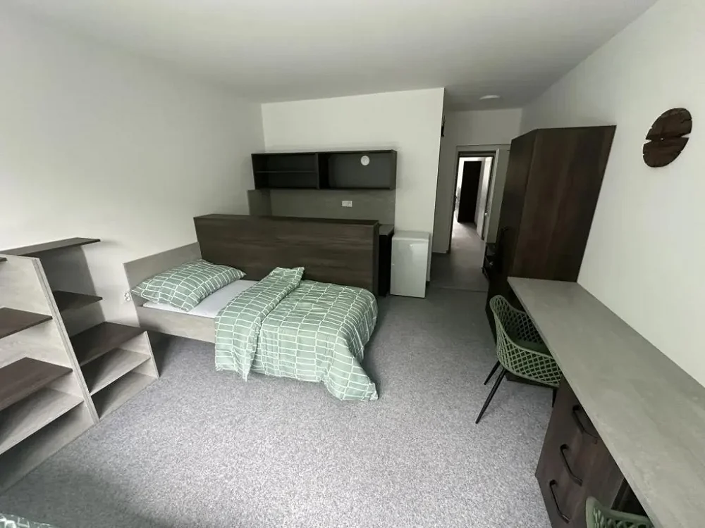 1+kk, Samaritská, Plzeň-město, Plzeňský kraj