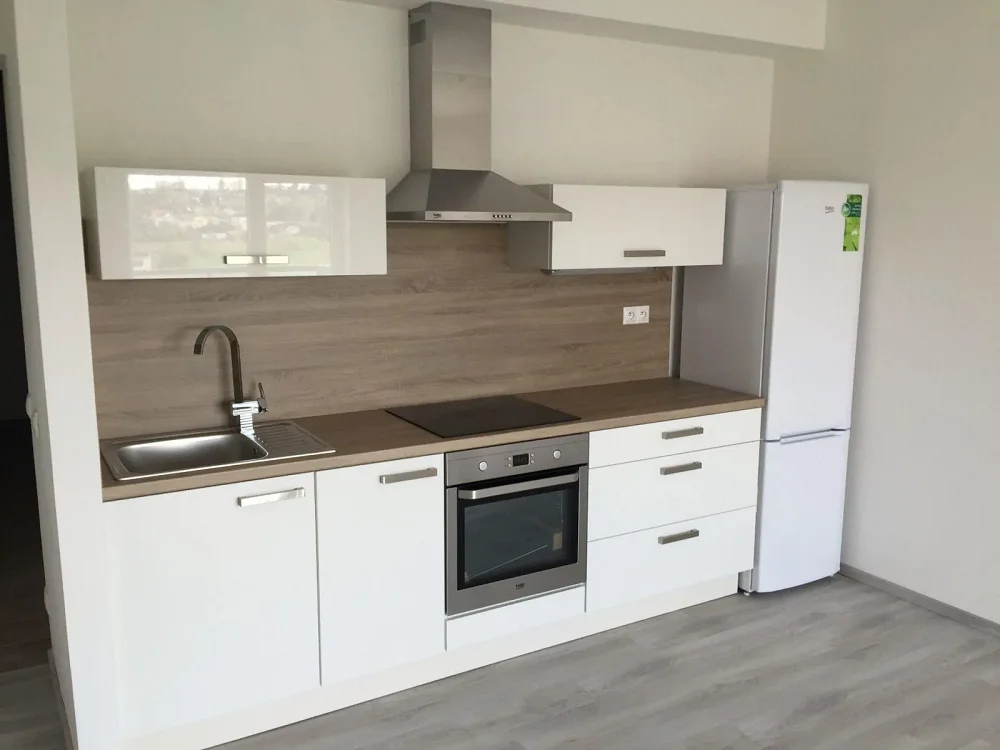 2+kk, U Velkého rybníka, Plzeň-město, Plzeňský kraj