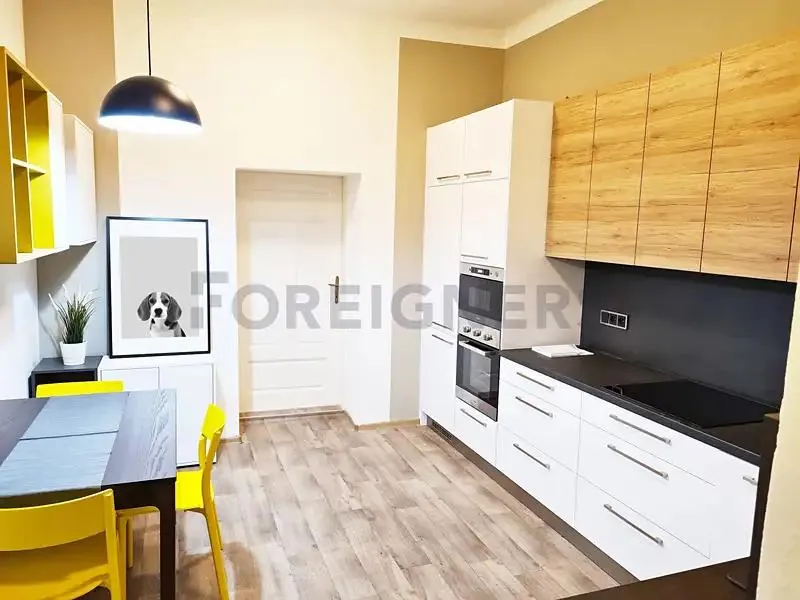 1+1, Palackého třída, Brno-město, Jihomoravský kraj