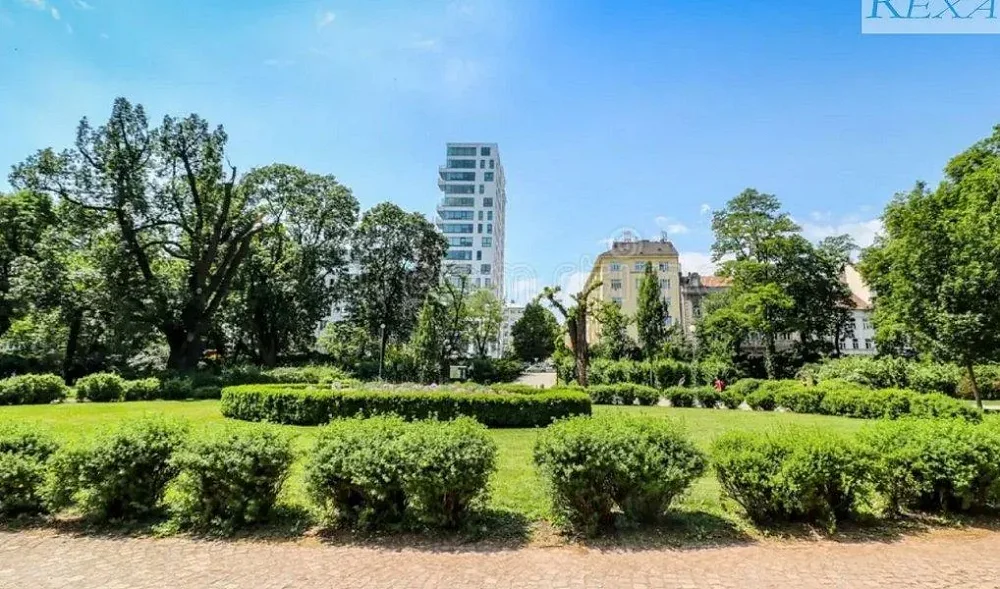 1+1, Střední, Brno-město, Jihomoravský kraj