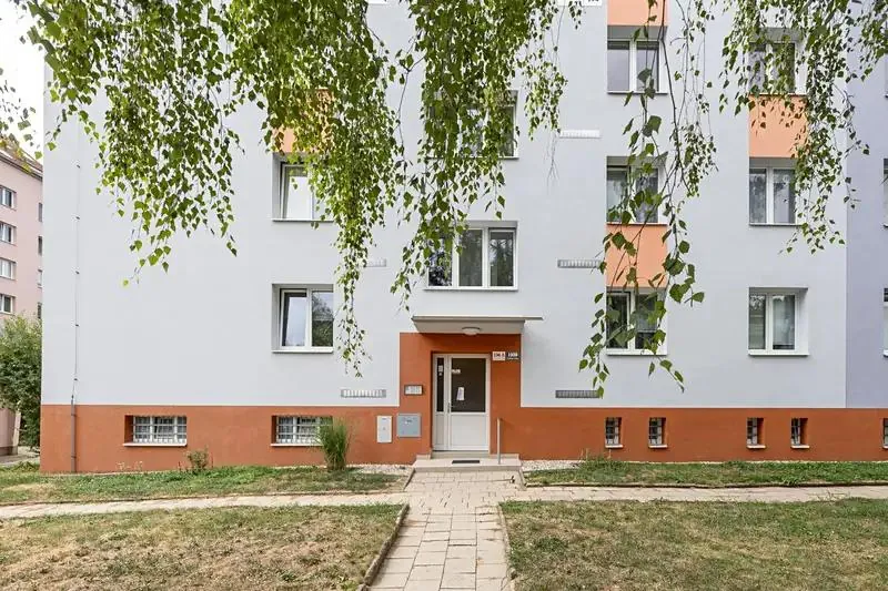 3+1, Svatopluka Čecha, Brno-město, Jihomoravský kraj
