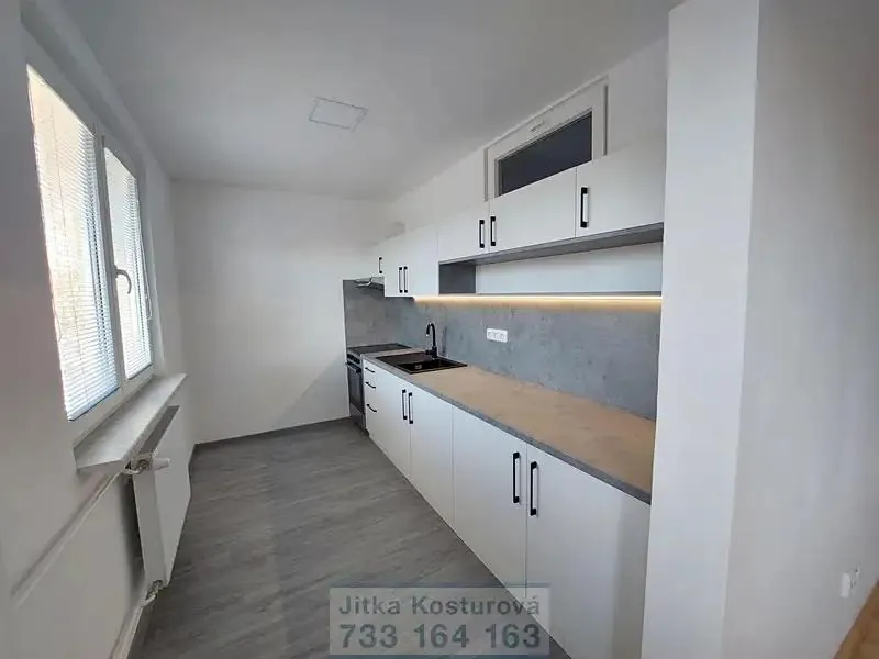 3+1, Albrechtická, Krnov, Bruntál, Moravskoslezský kraj