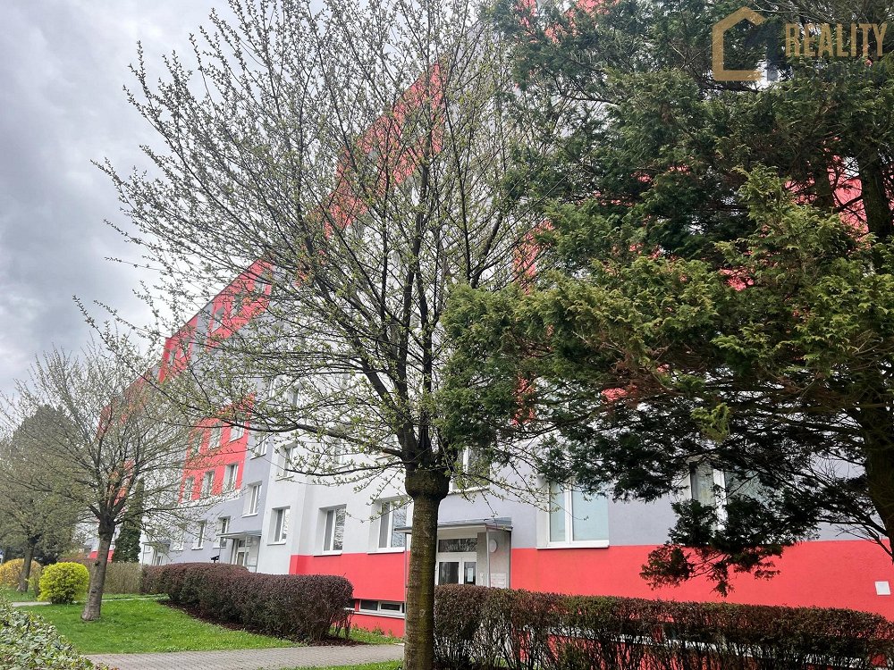 3+1, Nová, Ústí nad Orlicí, Pardubický kraj