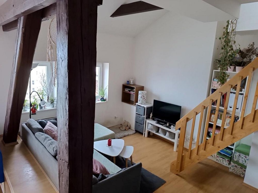 2+kk, Kounicova, Brno-město, Jihomoravský kraj
