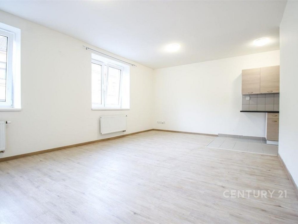 1+kk, Křenová, Brno-město, Jihomoravský kraj