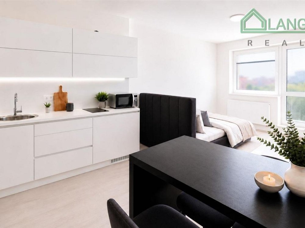 1+kk, Rybářská, Brno-město, Jihomoravský kraj