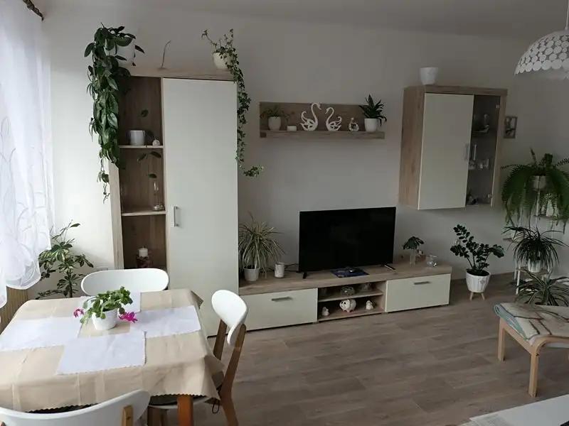 3+1, U Kaštánku, Červený Kostelec, Náchod, Královéhradecký kraj
