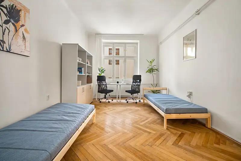 Pokoj, Starobrněnská, Brno-město, Jihomoravský kraj