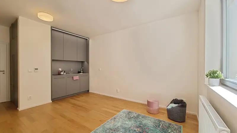 1+kk, Mlýnská, Brno-město, Jihomoravský kraj