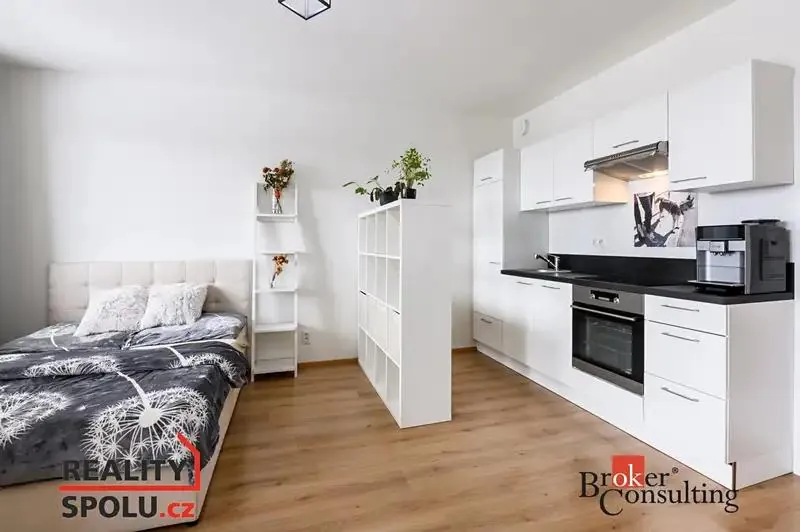 1+kk, Rybářská, Plzeň-město, Plzeňský kraj
