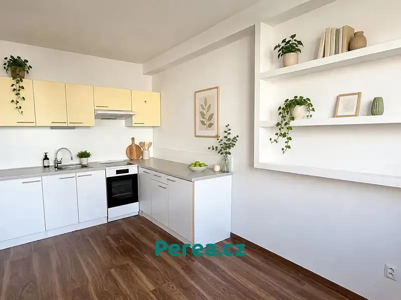 1+kk, Bořenovská, Holešov, Kroměříž, Zlínský kraj
