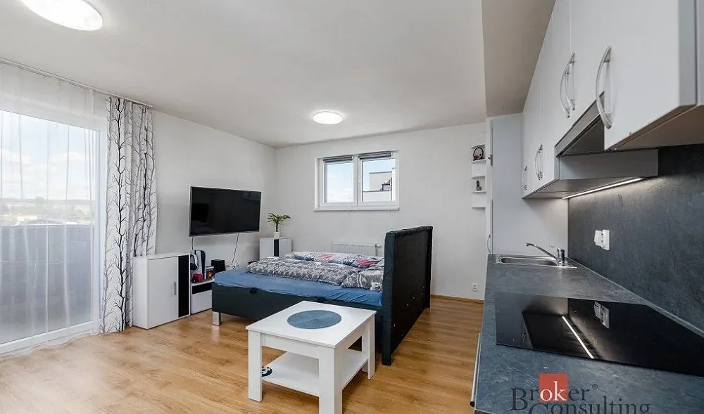 1+kk, U Pondu, Heřmanova Huť, Plzeň-sever, Plzeňský kraj