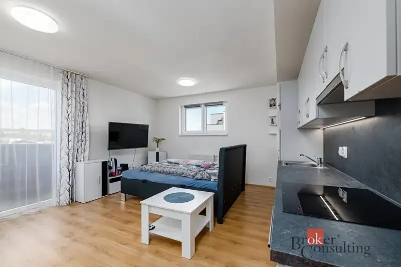 1+kk, U Pondu, Heřmanova Huť, Plzeň-sever, Plzeňský kraj