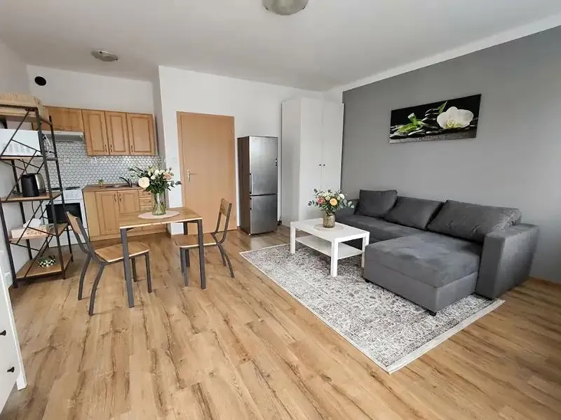 1+kk, Svojsíkova, Mladá Boleslav, Středočeský kraj