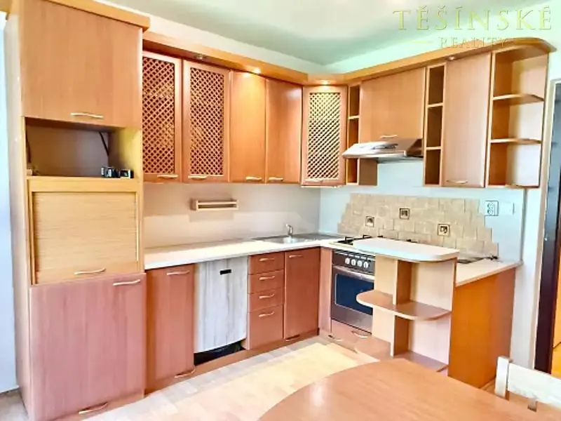 2+1, Hornická, Český Těšín, Karviná, Moravskoslezský kraj