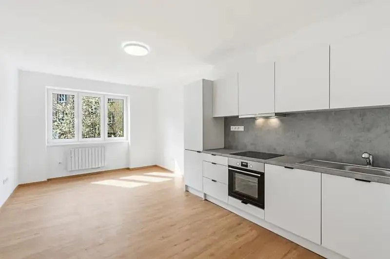 3+kk, Novovysočanská, Praha 3 - Žižkov