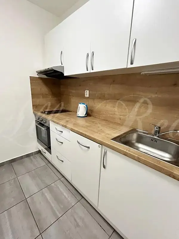 2+1, Vlhká, Brno-město, Jihomoravský kraj