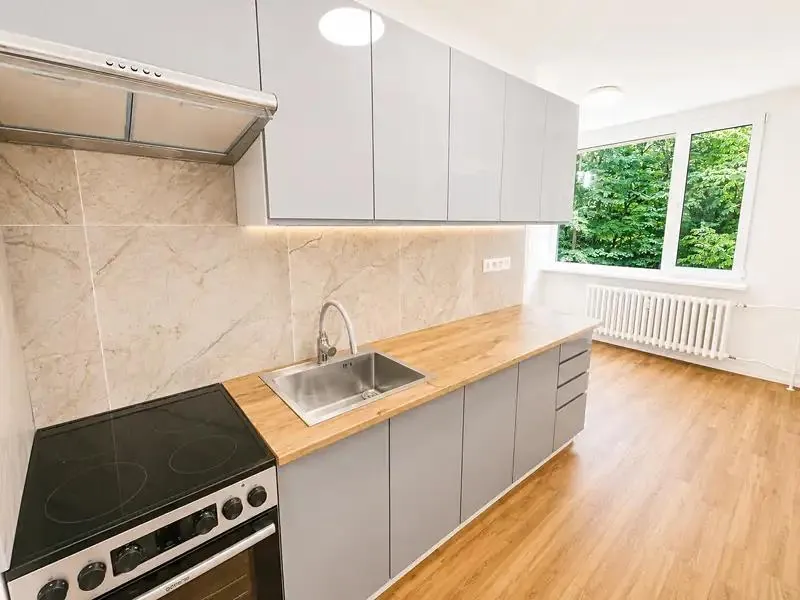 3+1, Na Pěšině, Děčín, Ústecký kraj