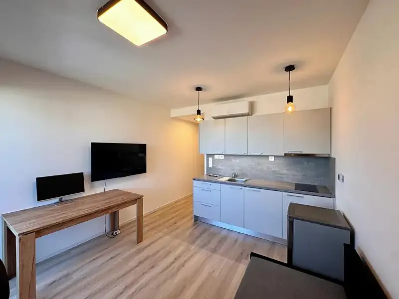 1+kk, Vídeňská, Brno-město, Jihomoravský kraj