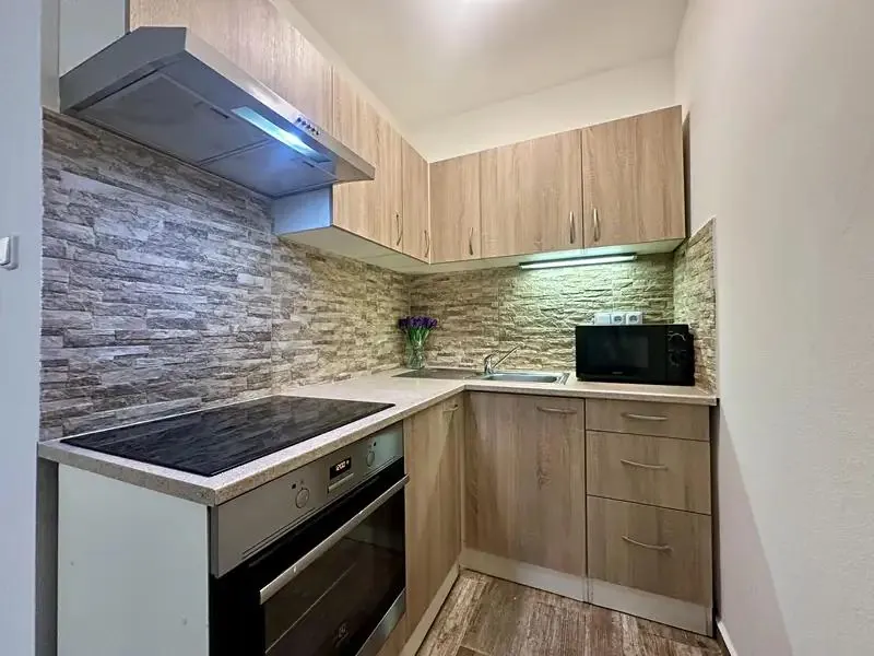 2+kk, Mánesova, Plzeň-město, Plzeňský kraj