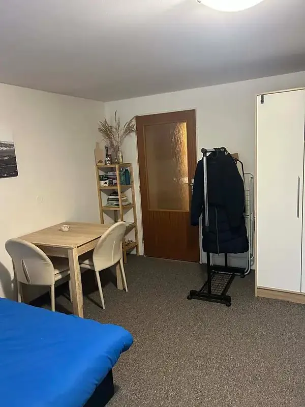 1+1, Březová, Brno-město, Jihomoravský kraj