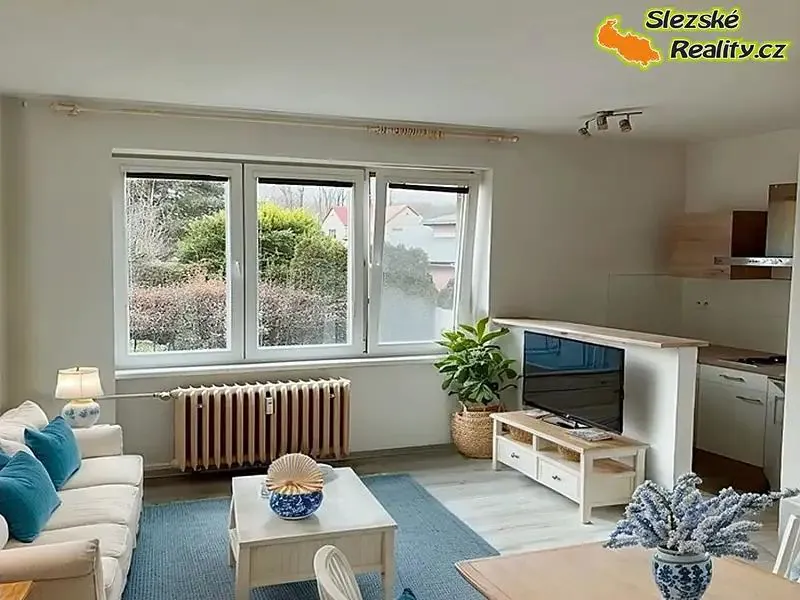 1+kk, Krakovská, Ostrava-město, Moravskoslezský kraj