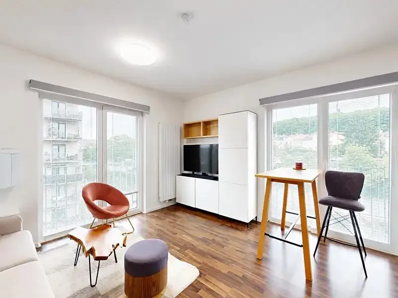 1+kk, Novovysočanská, Praha 3 - Žižkov