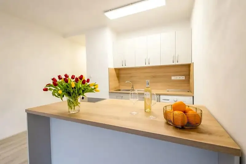 1+kk, U Parku, Ostrava-město, Moravskoslezský kraj