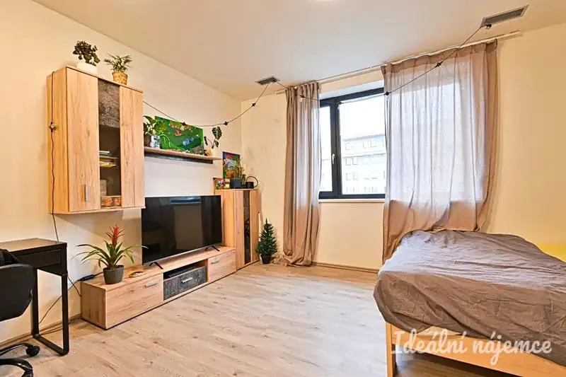 1+kk, Gajdošova, Brno-město, Jihomoravský kraj