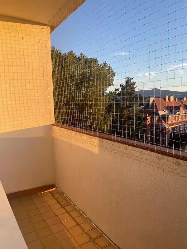 1+kk, Hroznová, Liberec, Liberecký kraj