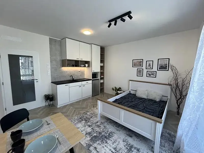 1+kk, Cejl, Brno-město, Jihomoravský kraj