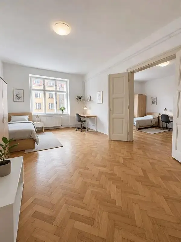 2+1, Kounicova, Brno-město, Jihomoravský kraj