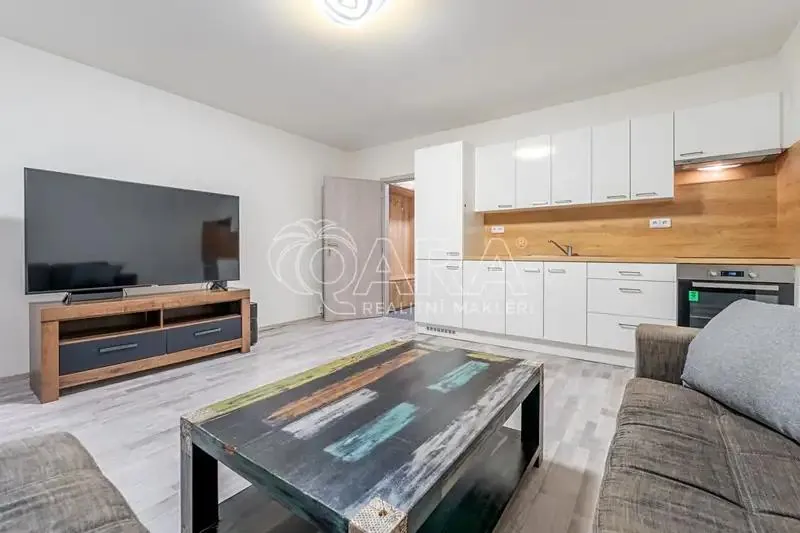 1+kk, Ševelova, Brno-město, Jihomoravský kraj