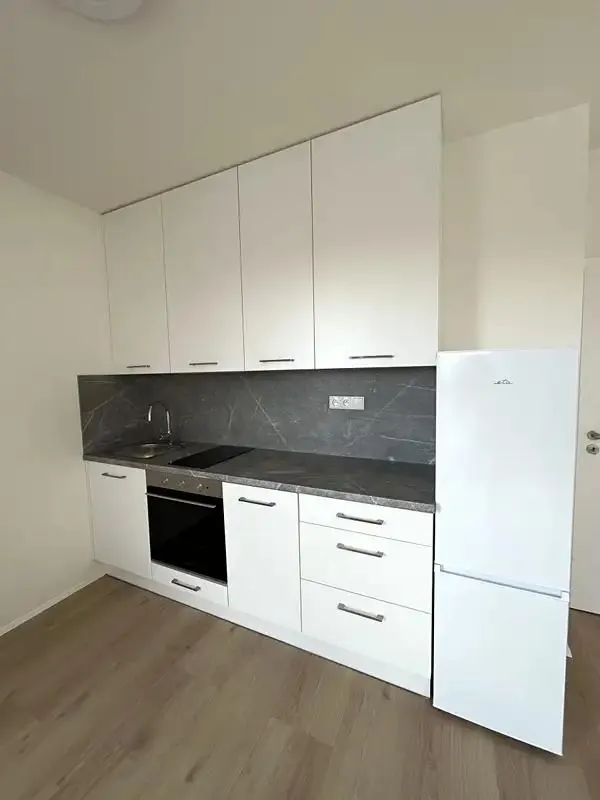 1+kk, Dobrovodská, České Budějovice, Jihočeský kraj