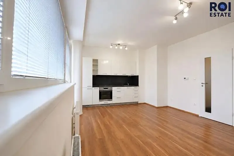 1+kk, Rumiště, Brno-město, Jihomoravský kraj