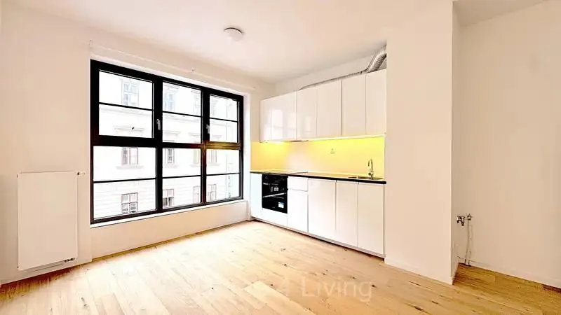1+kk, Bratislavská, Brno-město, Jihomoravský kraj