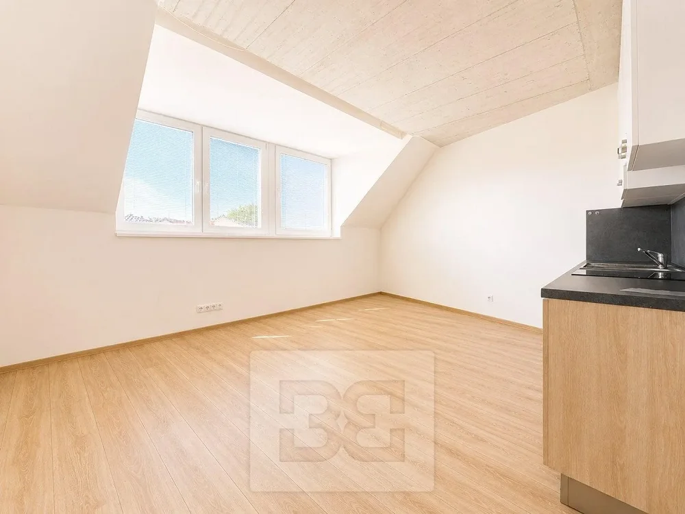 1+kk, Mifkova, Brno-město, Jihomoravský kraj