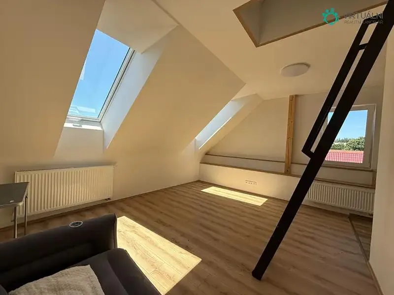 2+kk, Nové Město, Světlá nad Sázavou, Havlíčkův Brod, Kraj Vysočina