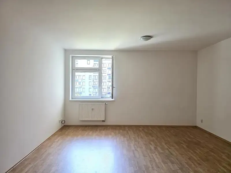 1+kk, Novodvorská, Praha 4 - Braník