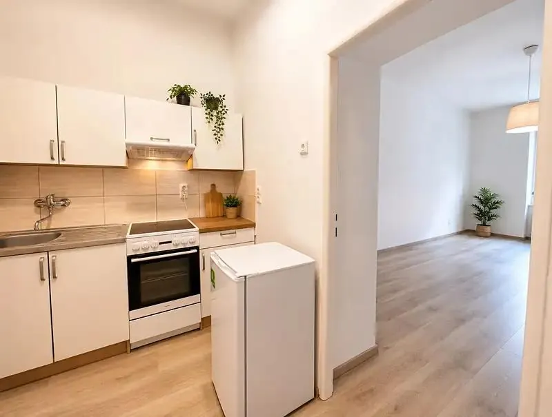1+kk, Štítného, Praha 3 - Žižkov