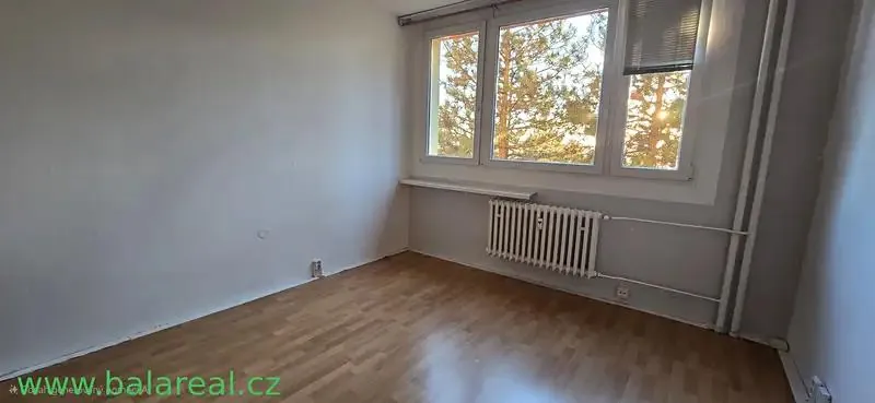 1+kk, Halasovo náměstí, Brno-město, Jihomoravský kraj