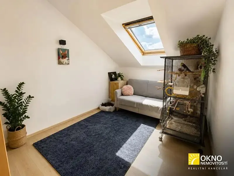 2+kk, Koliště, Brno-město, Jihomoravský kraj