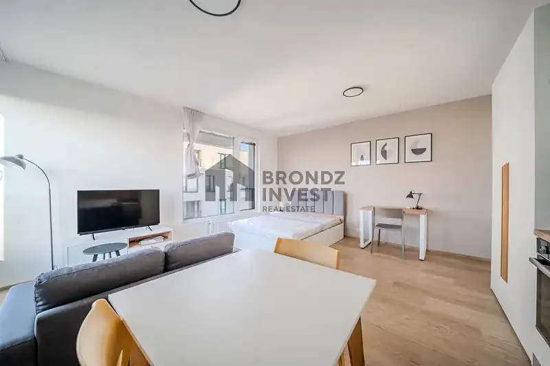 1+kk, Litoměřická, Praha 9 - Prosek