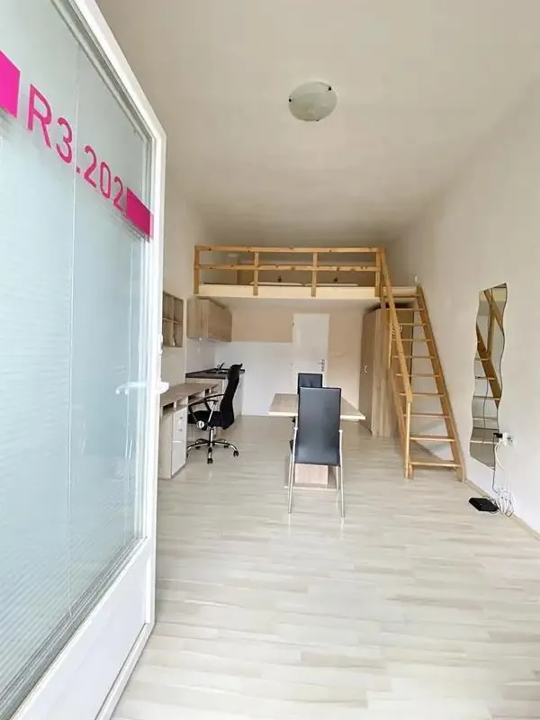 1+kk, Václavská, Brno-město, Jihomoravský kraj