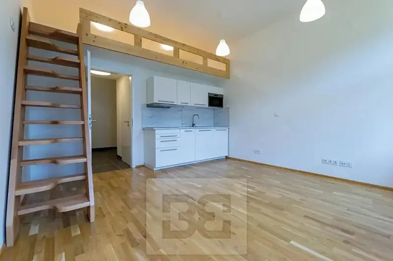 1+kk, Louis Léger House (Praha 1 - Nové Město)