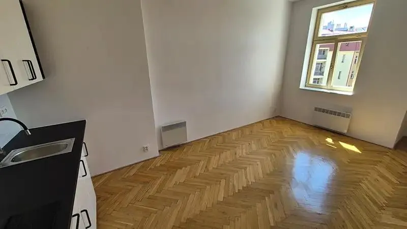 1+kk, Čechova, Praha 7 - Bubeneč