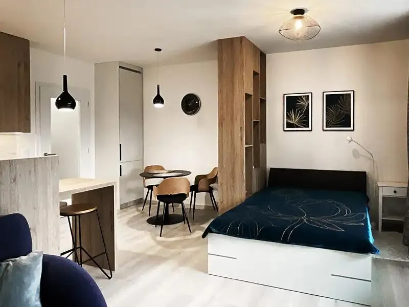 1+kk, Důlní, Ostrava-město, Moravskoslezský kraj