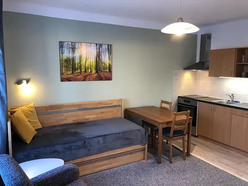 1+kk, Eliášova, Brno-město, Jihomoravský kraj